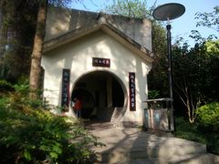 -重庆彩云湖湿地公园