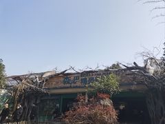 -杭州野生动物世界