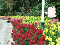 -人民公园(罗湖区)