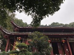 -卓刀泉寺