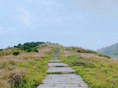 -嵛山岛