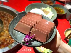 -谭鸭血老火锅(漳州路店)