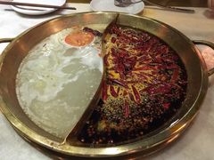 -杨家火锅(国美店)