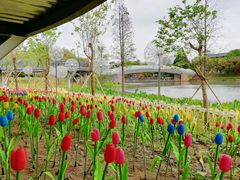 -怡海公园(桂城街道)