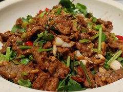 -椿记烧鹅(叠彩店)