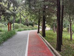 -长辛店二七公园