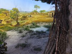 -国家自然博物馆