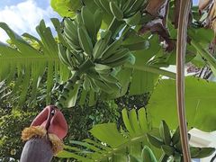 -云溪植物园