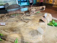 -自贡恐龙博物馆