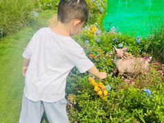 -HERRE·FARM 赫尔露营农场·团建聚会包场