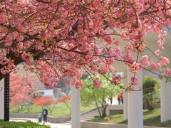 -西安交通大学(雁塔校区)