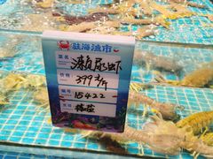 -驻海渔市(置信店)