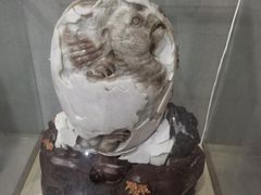 -中国西峡恐龙遗迹园