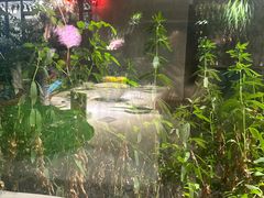 -春暖花开(西溪店)