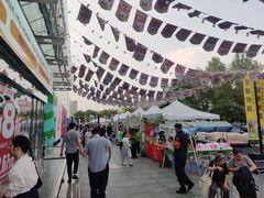 -红星美凯龙北京至尊MALL(东四环中路店)