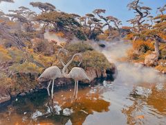 -罗红摄影艺术馆