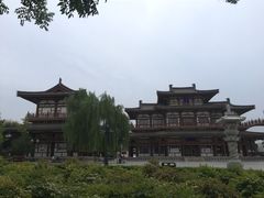 乐游原-西安乐游原