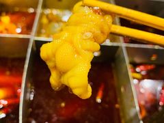 -宽板凳老灶火锅(南礼士路店)