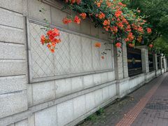 -新江湾城公园