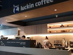 -瑞幸咖啡(巴黎春天陕西路店)