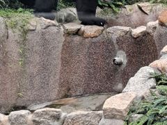 -石排湾郊野公园