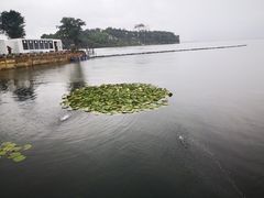 -南诏风情岛
