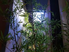 -茗知道茶馆(世博源店)