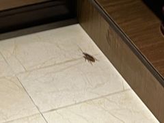 -和平宾馆(王府井店)