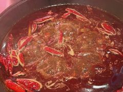 -朱光玉火锅馆(正弘城店)