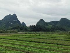 -靖西鹅泉风景区