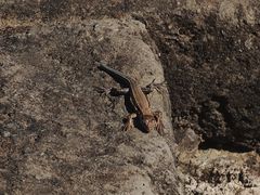 -蟠龙山长城景区