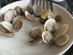 -东江港海鲜城(广雅花园别墅区店)