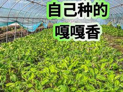 -小乡小镇·传承桐庐土菜·老板亲自烧的菜