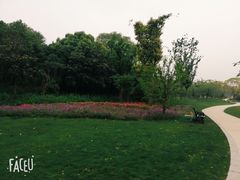 -昆山城市生态森林公园