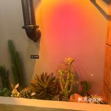 一家能与Shake Shack媲美的汉堡店