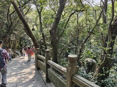 -普陀山风景区-佛顶山
