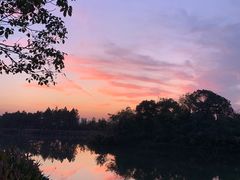 -艾溪湖湿地公园