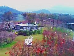 -福建鲤鱼洲酒店