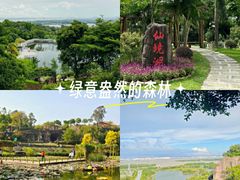 -广州莲花山旅游区