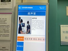 -北京观赏动物医院·24小时大型综合·猫专科·异宠专科