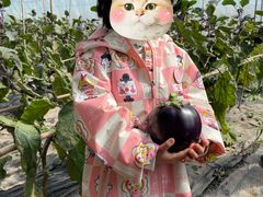 -甜心庄园·甜心草莓采摘园(西青中北店)