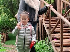 -呀路古热带植物园