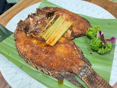 -紫滇源云南生态菜(丹凤街店)