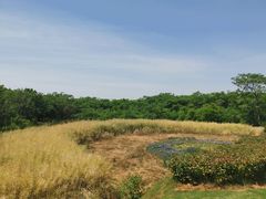 -盘龙城国家考古遗址公园