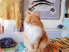 -平行世界·猫咖(首经贸店)