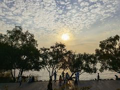 -宝安西湾红树林湿地公园