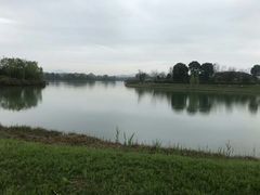 -太湖湖滨国家湿地公园-停车场