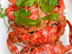 -南山酒肆(南山董事绘店)