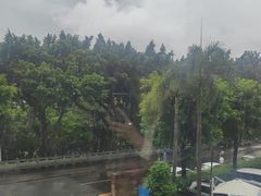 -海湾壹品·粤菜·早茶·烤鸭(拱北店)