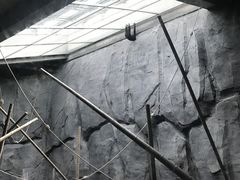 -武汉动物园